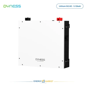 Batterie Lithium Dyness DL5.0C - 5.12kWh